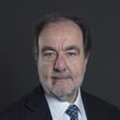 Giulio  Andreani